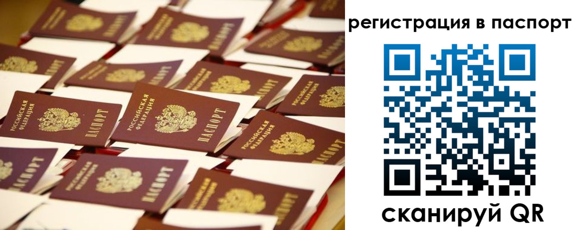 прописка гарантия в Нижнеудинске